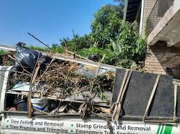 Best Shed Removal  in Roscoe, IL